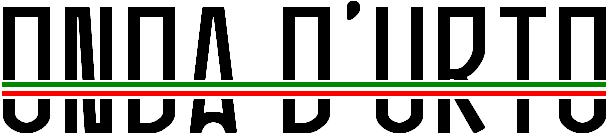 Onda d'urto Montecatini