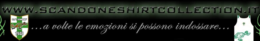 Scandone Shirt Collection
